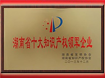 熱烈慶祝“湘潭恒欣”被評(píng)為“首屆湖南省十大知識(shí)產(chǎn)權(quán)領(lǐng)軍企業(yè)”