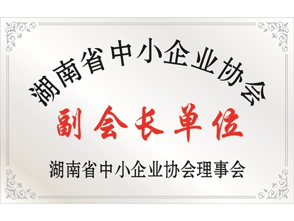 湖南省中小企業(yè)協(xié)會副會長單位