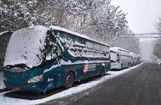 哈尔滨长途客运陆续恢复发车 因雪阻旅客可免费退票